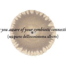 are you?