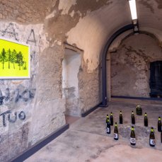 panem et circenses - are you aware of your symbiotic connection?, particolare - to be here and there - foto: giacomo de donà