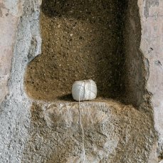panem et circenses - are you aware of your symbiotic connection?, particolare - to be here and there - foto: giacomo de donà