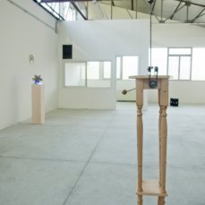 paride petrei, macchina per immortalare l\'ipofisi, materiali vari, 165x30x30 cm, 2009 - foto giacomo de donà