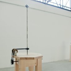 paride petrei, macchina per immortalare l\'ipofisi, materiali vari, 165x30x30 cm, 2009 - foto giacomo de donà
