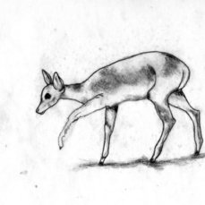 patte loper, goodbye 20th century,  animazione, 38 sec., ed.  26/100, 2006,  courtesy the flat massimo carasi - frame da video