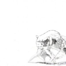 patte loper, all who love, animazione, 22 sec.,  ed. 2/1, 2009, courtesy the flat massimo carasi - frame da video