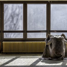 #pblab0 - foto giacomo de donà