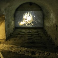 Sandra Hauser - The Patient – Investigation for a new Identity - foto giacomo de donà