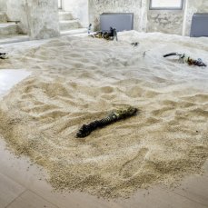 sebastiano sofia - Tu, l\'istante in cui il mare diventa deserto e viceversa - foto giacomo de donà