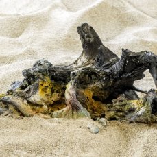 sebastiano sofia - Tu, l\'istante in cui il mare diventa deserto e viceversa - foto giacomo de donà
