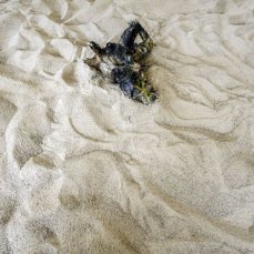 sebastiano sofia - Tu, l\'istante in cui il mare diventa deserto e viceversa - foto giacomo de donà