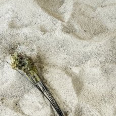 sebastiano sofia - Tu, l\'istante in cui il mare diventa deserto e viceversa - foto giacomo de donà