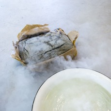 Nina Canell_Perpetuum Mobile (25 Kg)_SOLO, a group exhibition_foto: Nicola Noro