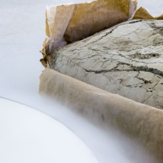Nina Canell_Perpetuum Mobile (25 Kg)_SOLO, a group exhibition_foto: Nicola Noro