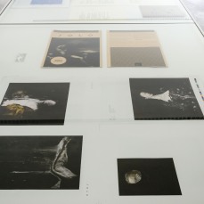 SOLO un tavolo con Nicola Samorì_SOLO, a group exhibition_foto: Nicola Noro