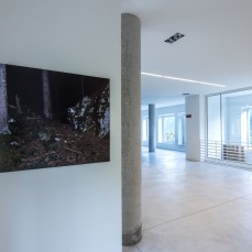 stefano cerio - paths, settembre 2014 - foto giacomo de dona\'