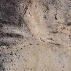 senza titolo_dettaglio_foto a. montresor