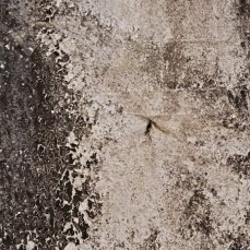 senza titolo_dettaglio_foto a. montresor
