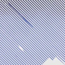 Tiziano Martini, Senza titolo, spray su tela, 260x180 cm, 2012, (part.)