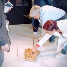 to\'nòn ignà, spazio di casso, opening 22 agosto