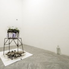 Stefano Moras/Falde - foto Giacomo De Donà