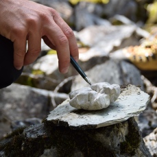 tonon ignà, cronache della costruzione di una mostra - agosto 2015 - photo courtesy gli artisti