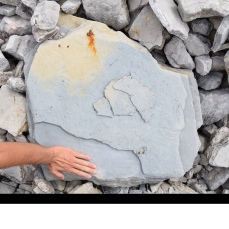 tonon ignà, cronache della costruzione di una mostra - agosto 2015 - photo courtesy gli artisti