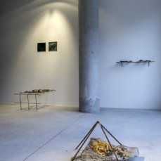Veronica De Giovanelli - De haruspicibus auguribusque / Evelyn Leveghi - panta rei, cum-panis, wastescape - Foto GIacomo De Donà