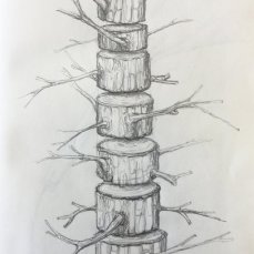VT MP Sketches