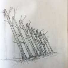 VT MP Sketches