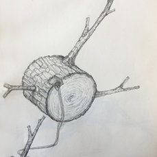 VT MP Sketches