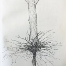 VT MP Sketches