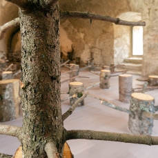 Michelangelo Penso_Vibration Tree_Foto Giacomo De Donà