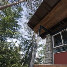 villaggio eni di borca di cadore_divorato dal bosco_foto giacomo de donà