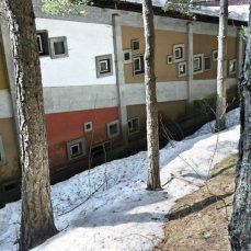 villaggio eni di borca di cadore_colonia, i collegamenti nel bosco_foto giacomo de donà