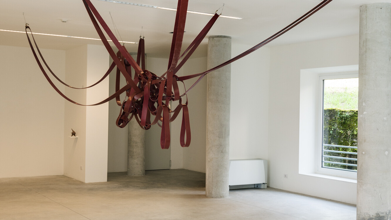 michelangelo penso/esoscheletro, chitina